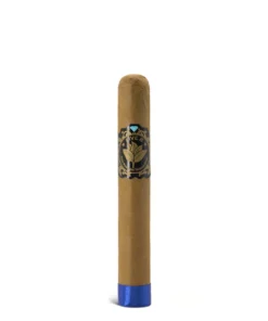 Casa Nicaragua Five B Esplendido Cigar