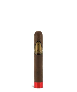 Casa Nicaragua Paris Midnight Esplendido Cigar