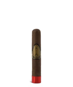Casa Nicaragua Paris Midnight Robusto Extra Cigar