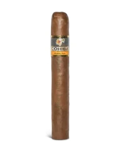 Cohiba Siglo VI Cigar